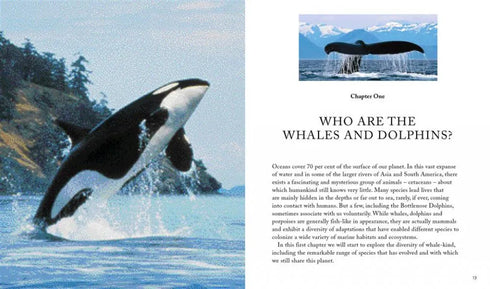 Whales & Dolphins of the World - Simmons,M. 2013