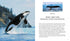 Whales & Dolphins of the World - Simmons,M. 2013