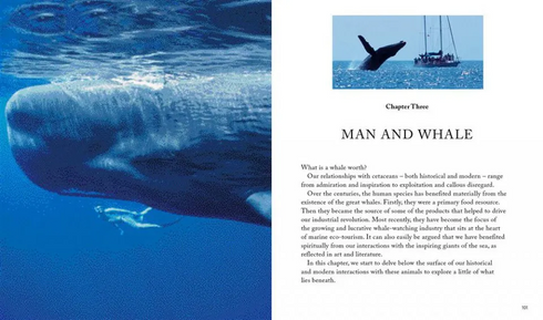 Whales & Dolphins of the World - Simmons,M. 2013
