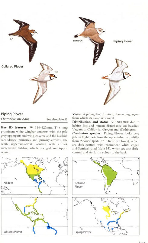 Waders of Europe, Asia and North America - Don W. Taylor 2005