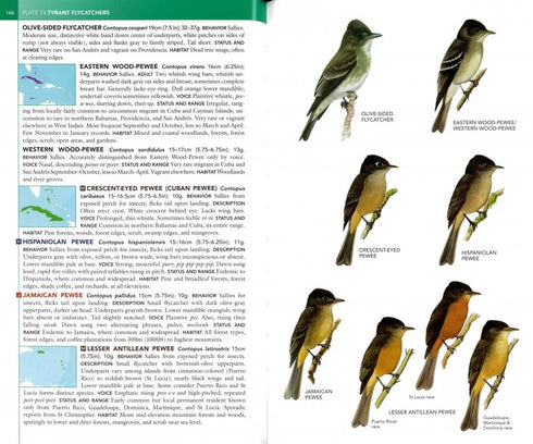 Birds of West Indies, kenttäversio - Raffaele ym. 2nd edition 2020