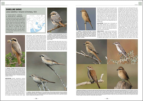 Handbook of Western Palearctic Birds: Passerines vol 1&2 - Svensson, L. ja Shirihai, H. 2018