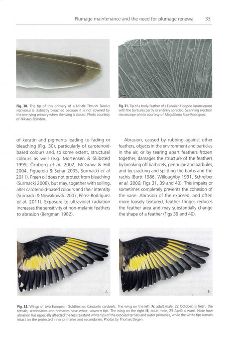 The Biology of Moult in Birds (Jenni&Winkler 2020)