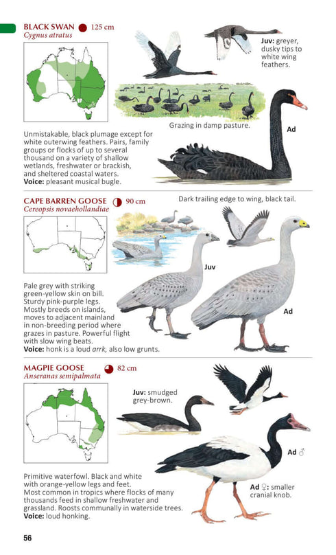 Australian Bird Guide: Concise Edition - Davies 2022