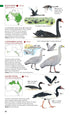 Australian Bird Guide: Concise Edition - Davies 2022
