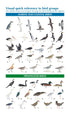 Australian Bird Guide: Concise Edition - Davies 2022