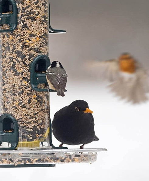 Ruokinta Big Easy aluslautanen, sopii vain "Big Easy" -ruokintaputkiin