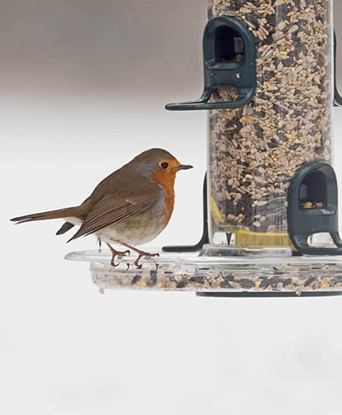 Ruokinta Big Easy aluslautanen, sopii vain "Big Easy" -ruokintaputkiin