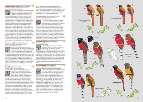 Birds of Malaysia, Puan, Davison ja Lim 2020, flexi
