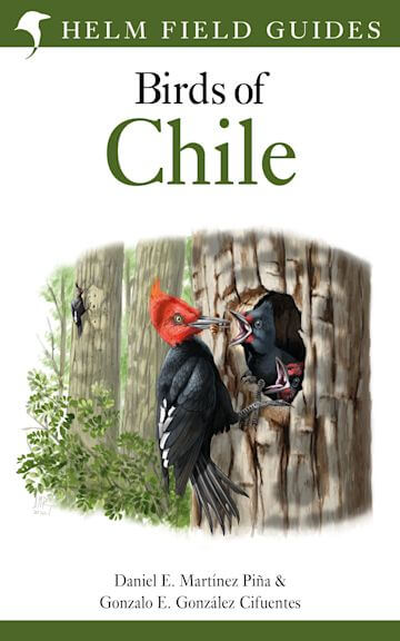 Birds of Chile -  Pińa, Cifuentes 2021