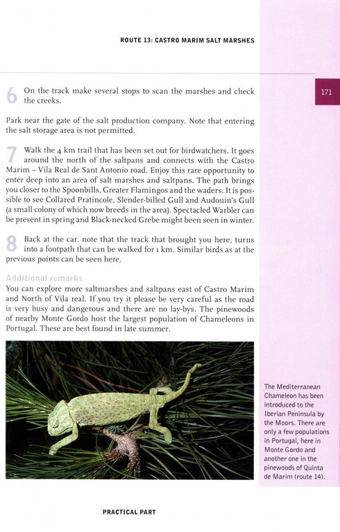 Nature Guide to Southern Portugal - Hilbers, D. ym, 2024