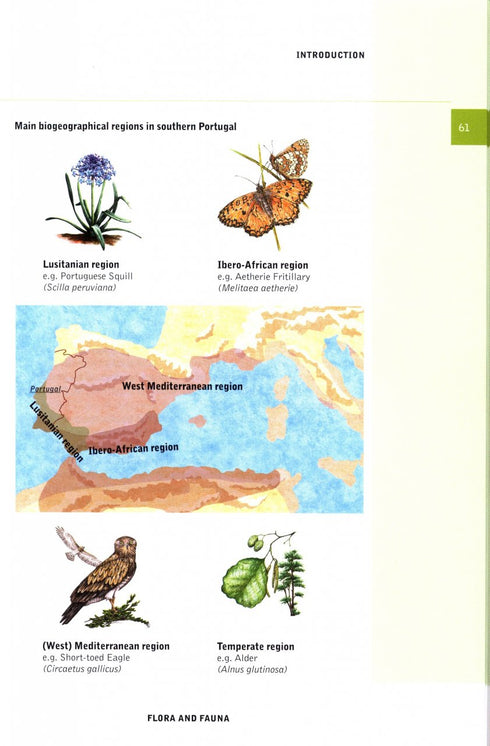 Nature Guide to Southern Portugal - Hilbers, D. ym, 2024