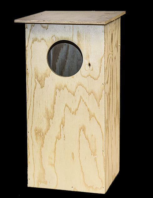 Linnunpönttö isokoskelo / lehtopöllö (vaneri)