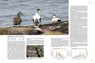 Jurmon Linnut - Kuntze, K. ym. 2022