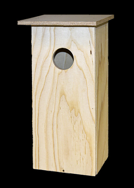 Linnunpönttö kottarainen / käenpiika (vaneri)