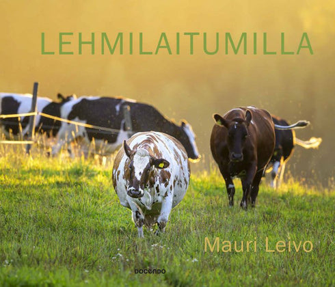 Lehmilaitumilla Lehmilaitumilla - Leivo Mauri 2022