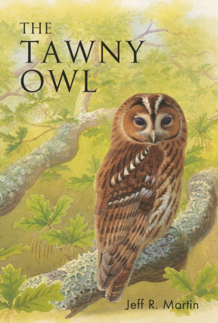 The Tawny Owl - Martin, Jeff 2022