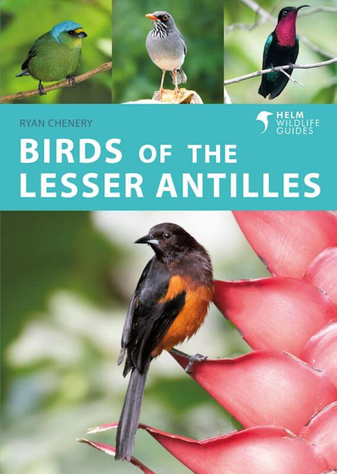 Birds of the Lesser Antilles - Ryan Chenery 2022