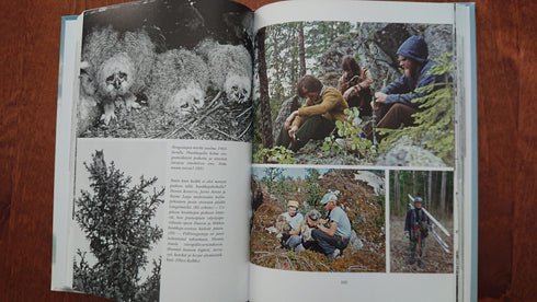 Lintujen viemää - Mikko Jokinen ym. PILY 2020