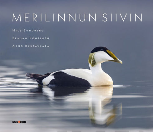 Merilinnun siivin - Sundberg, Pöntinen ja Rautavaara 2019