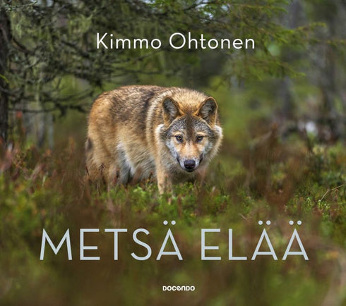 Metsä elää - Kimmo Ohtonen 2. painos 2020