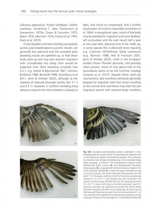 The Biology of Moult in Birds (Jenni&Winkler 2020)