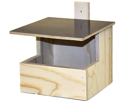 Linnunpönttö mustarastas (vaneri)