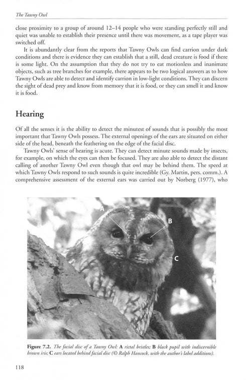 The Tawny Owl - Martin, Jeff 2022