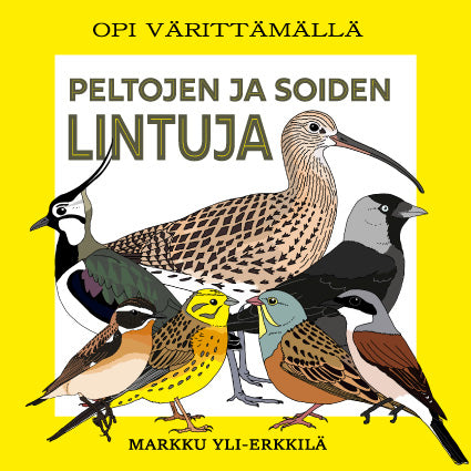 Peltojen ja soiden lintuja, opi värittämällä (2021) värityskirja