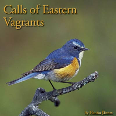 Calls of Eastern Vagrants CD - Jännes