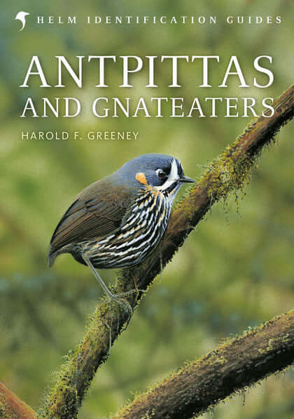 Antpittas and Gnateaters - Greeney, H. F., 2018