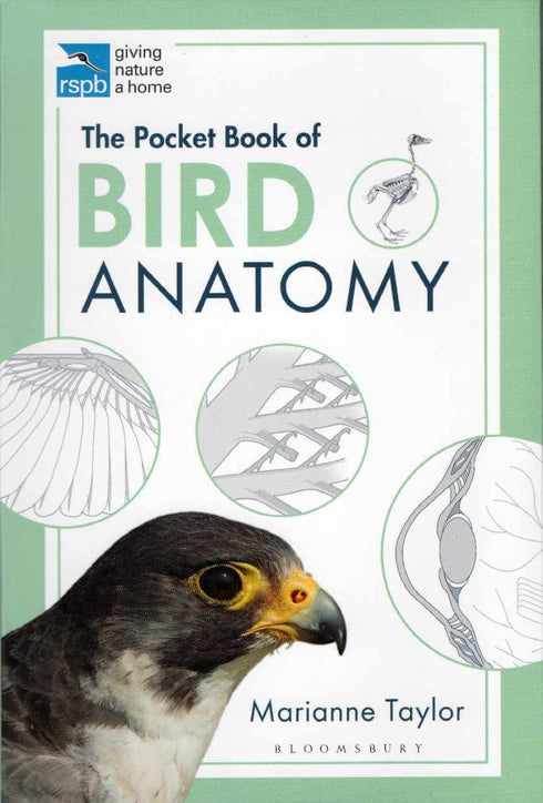 Bird Anatomy - Taylor, M. 2020