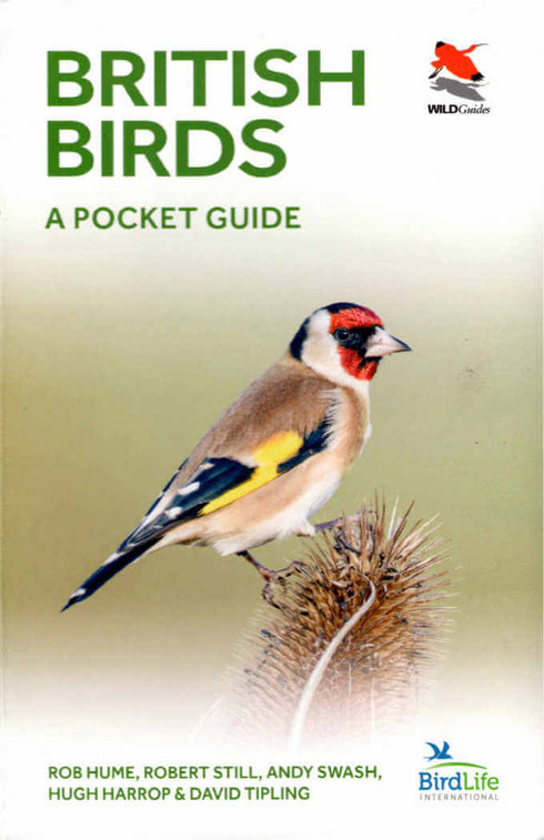 British Birds, Pocket Guide - Hume, R. ym. 2019