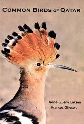 Common Birds of Qatar - Eriksen; Hanne; Jens; Gillespie; Frances 2010