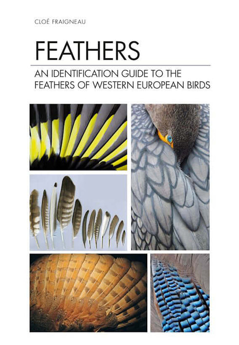 Feathers, An Identification Guide to the Feathers of Western European Birds (Cloé Fraigneau, 2022)