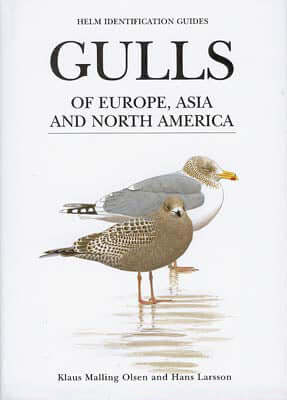 Gulls of Europe, Asia and North America - Klaus Malling Olsen 2003