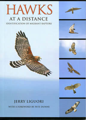 Hawks at distance - Liguori, J. 2011