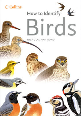 How to identify Birds - Hammond, N. 2006