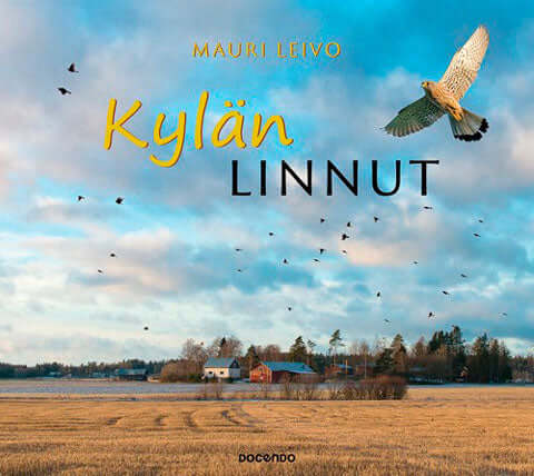 Kylän linnut, Leivo - 2017