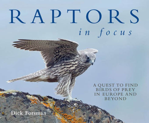 Raptors in Focus - Forsman, D. 2016