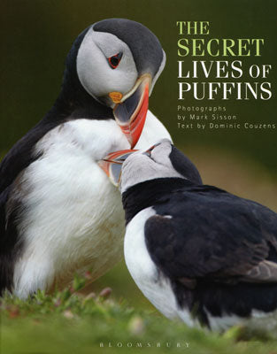 Secret lives of Puffins (Couzens, D. 2013)