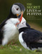 Secret lives of Puffins (Couzens, D. 2013)