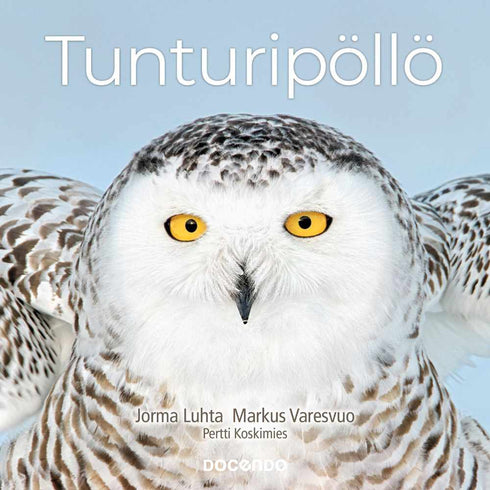 Tunturipöllö - Koskimies, P., Luhta, J., Varesvuo, M., 2022
