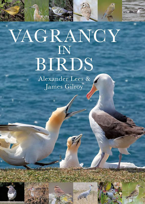 Vagrancy in Birds - Alexander Lees, James Gilroy 2021