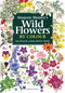 Wild Flowers by Colour - Blamey, M. 2007