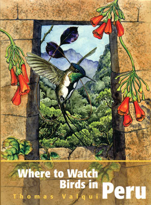 Where to watch birds in Peru - Valqui, T. 2004