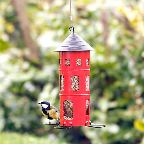 Ruokinta, Combi Feeder siemenille, punainen