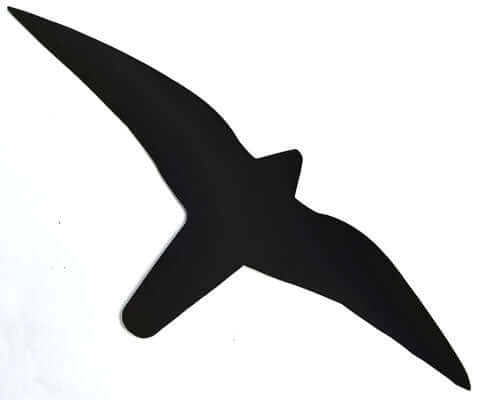 Haukkatarra musta (ikkunaan; vähentää lintujen törmäyksiä), nuolihaukkasiluetti