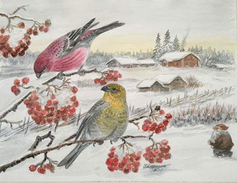 Taviokuurnat ja tonttu postikorttit