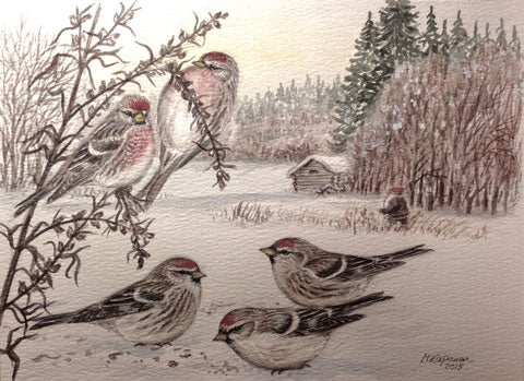 Urpiaiset ja tonttu postikortti